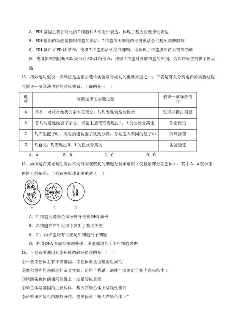 黄金卷01（考试版）-赢在高考&middot;黄金8卷备战2024年高考生物模拟卷（全国专用）_2024年新高考资料_4.2024高考模拟预测试卷