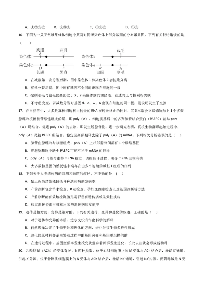 黄金卷01（考试版）-赢在高考&middot;黄金8卷备战2024年高考生物模拟卷（全国专用）_2024年新高考资料_4.2024高考模拟预测试卷