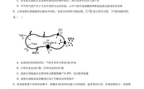 黄金卷01（考试版）-赢在高考&middot;黄金8卷备战2024年高考生物模拟卷（全国专用）_2024年新高考资料_4.2024高考模拟预测试卷