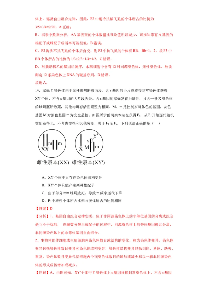 第七单元变异与进化（测试卷）（解析版)_2024年新高考资料_3.2024专项复习_备战2024年高考生物一轮复习重难点专项突破