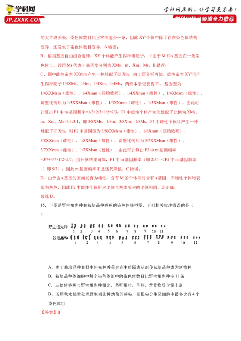 第七单元变异与进化（测试卷）（解析版)_2024年新高考资料_3.2024专项复习_备战2024年高考生物一轮复习重难点专项突破