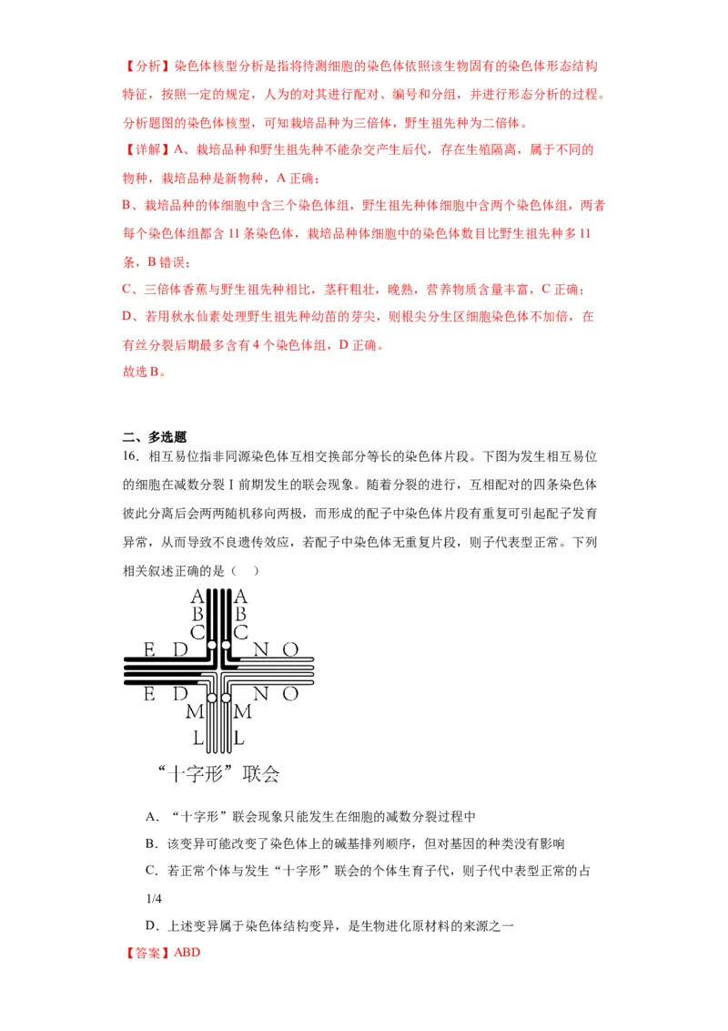 第七单元变异与进化（测试卷）（解析版)_2024年新高考资料_3.2024专项复习_备战2024年高考生物一轮复习重难点专项突破