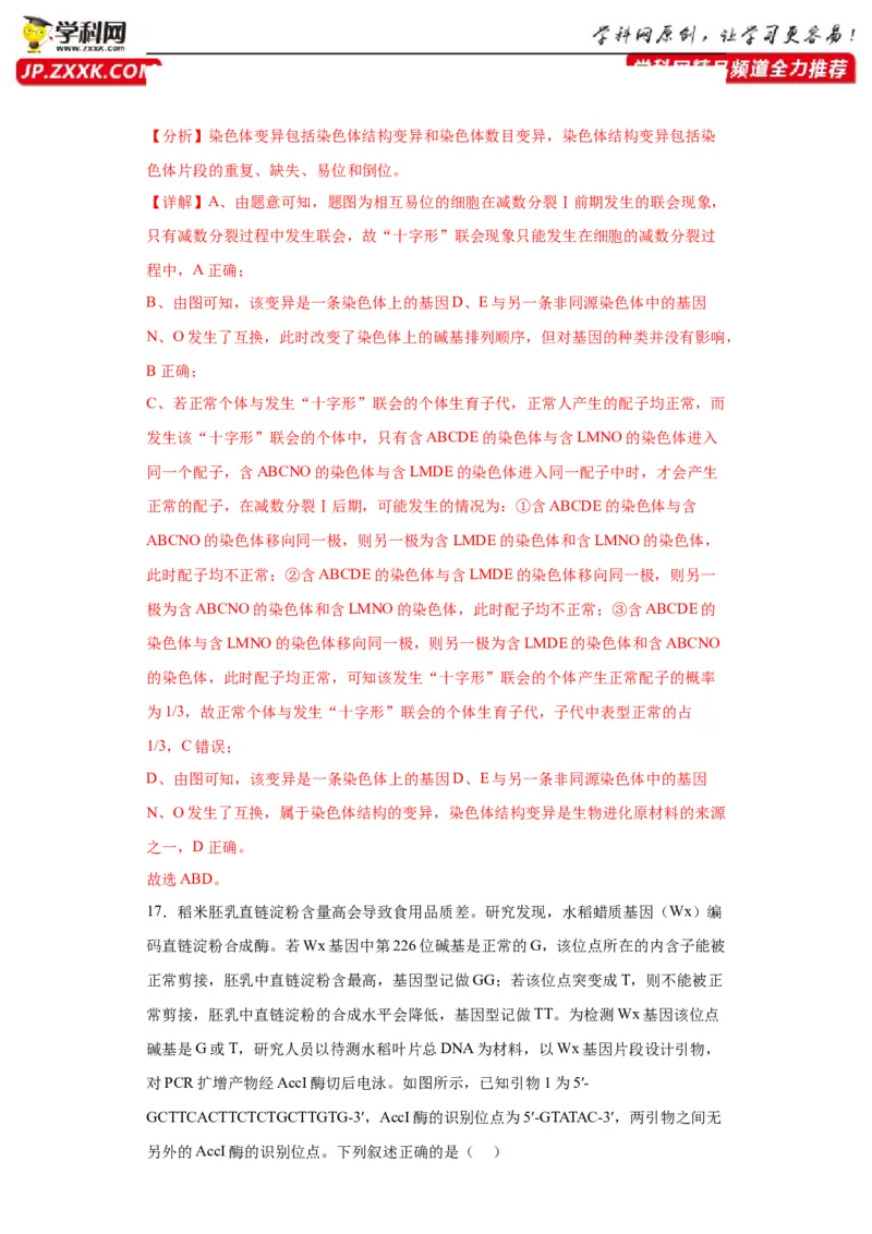 第七单元变异与进化（测试卷）（解析版)_2024年新高考资料_3.2024专项复习_备战2024年高考生物一轮复习重难点专项突破