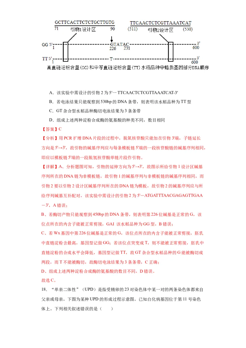 第七单元变异与进化（测试卷）（解析版)_2024年新高考资料_3.2024专项复习_备战2024年高考生物一轮复习重难点专项突破
