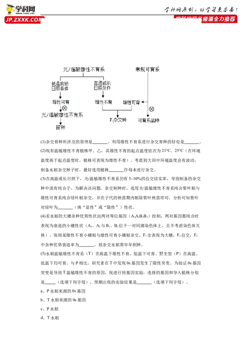 第七单元变异与进化（测试卷）（解析版)_2024年新高考资料_3.2024专项复习_备战2024年高考生物一轮复习重难点专项突破