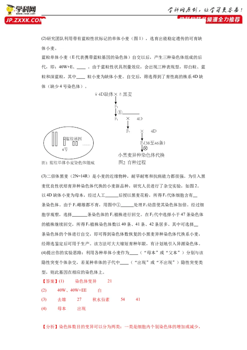 第七单元变异与进化（测试卷）（解析版)_2024年新高考资料_3.2024专项复习_备战2024年高考生物一轮复习重难点专项突破