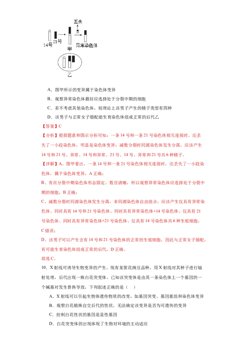 第七单元变异与进化（测试卷）（解析版)_2024年新高考资料_3.2024专项复习_备战2024年高考生物一轮复习重难点专项突破