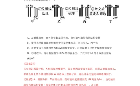 第七单元变异与进化（测试卷）（解析版)_2024年新高考资料_3.2024专项复习_备战2024年高考生物一轮复习重难点专项突破