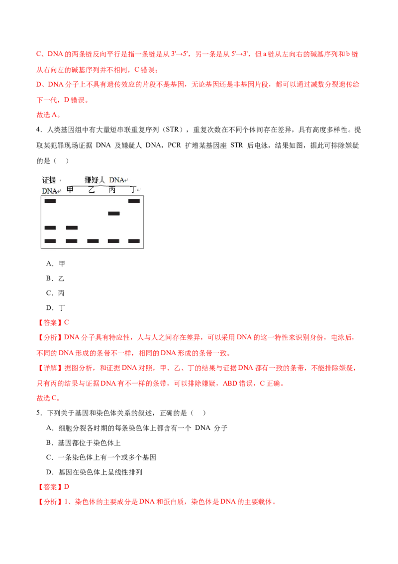 考点通关卷21DNA分子的结构、复制与基因的本质（解析版）_2024年新高考资料_1.2024一轮复习_2024年高考生物一轮复习考点通关卷（新高考通用）