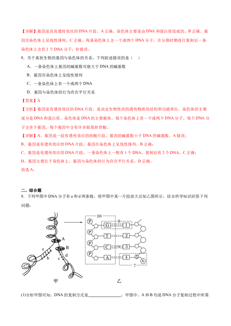 考点通关卷21DNA分子的结构、复制与基因的本质（解析版）_2024年新高考资料_1.2024一轮复习_2024年高考生物一轮复习考点通关卷（新高考通用）