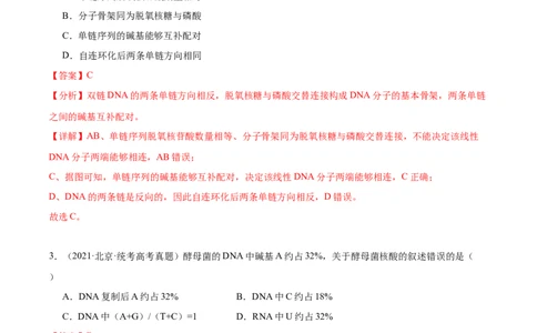考点通关卷21DNA分子的结构、复制与基因的本质（解析版）_2024年新高考资料_1.2024一轮复习_2024年高考生物一轮复习考点通关卷（新高考通用）