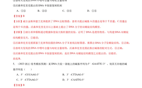 考点通关卷21DNA分子的结构、复制与基因的本质（解析版）_2024年新高考资料_1.2024一轮复习_2024年高考生物一轮复习考点通关卷（新高考通用）