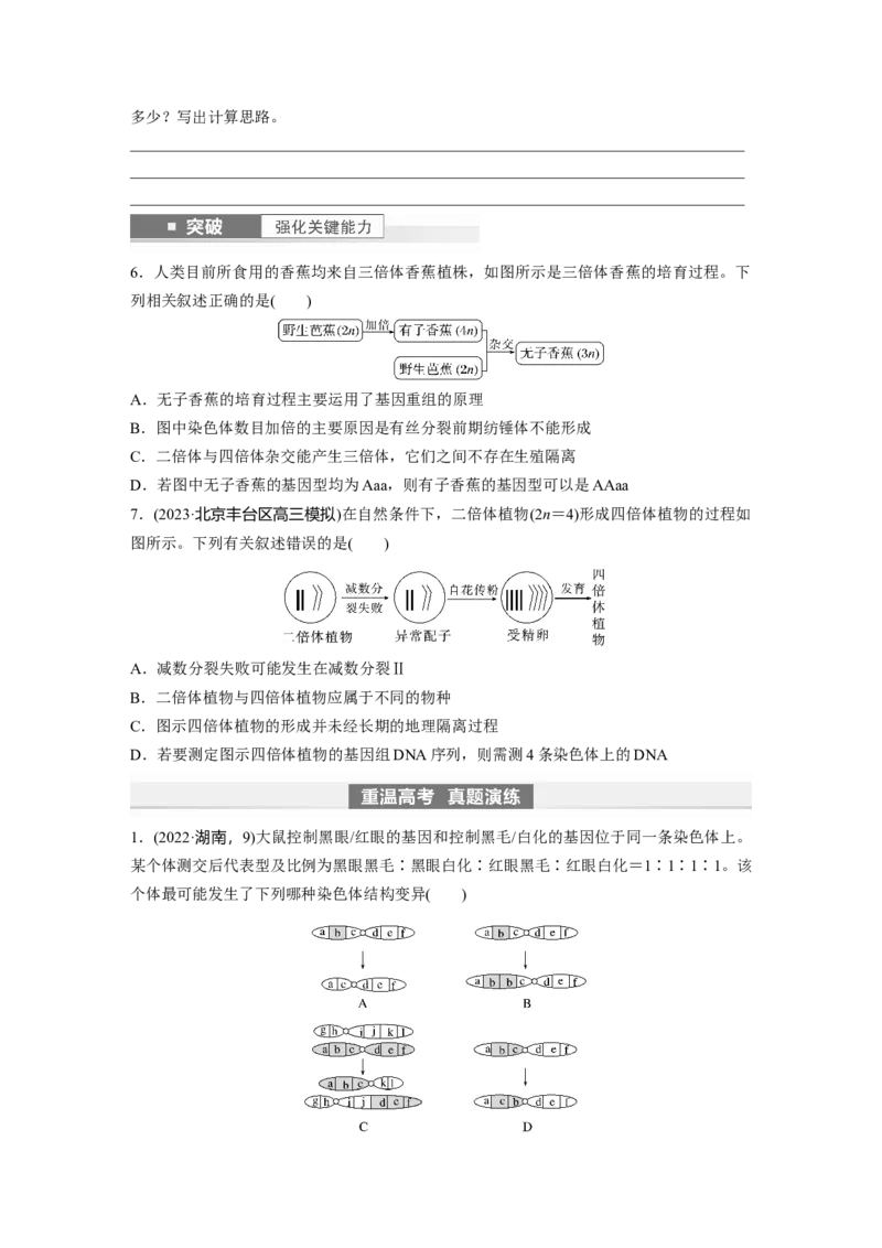 第7单元　第2课时　染色体变异_2024年新高考资料_1.2024一轮复习_2024年高考生物一轮复习讲义（新人教版）_学生版在此文件夹_大一轮复习讲义_第七单元　生物的变异和进化
