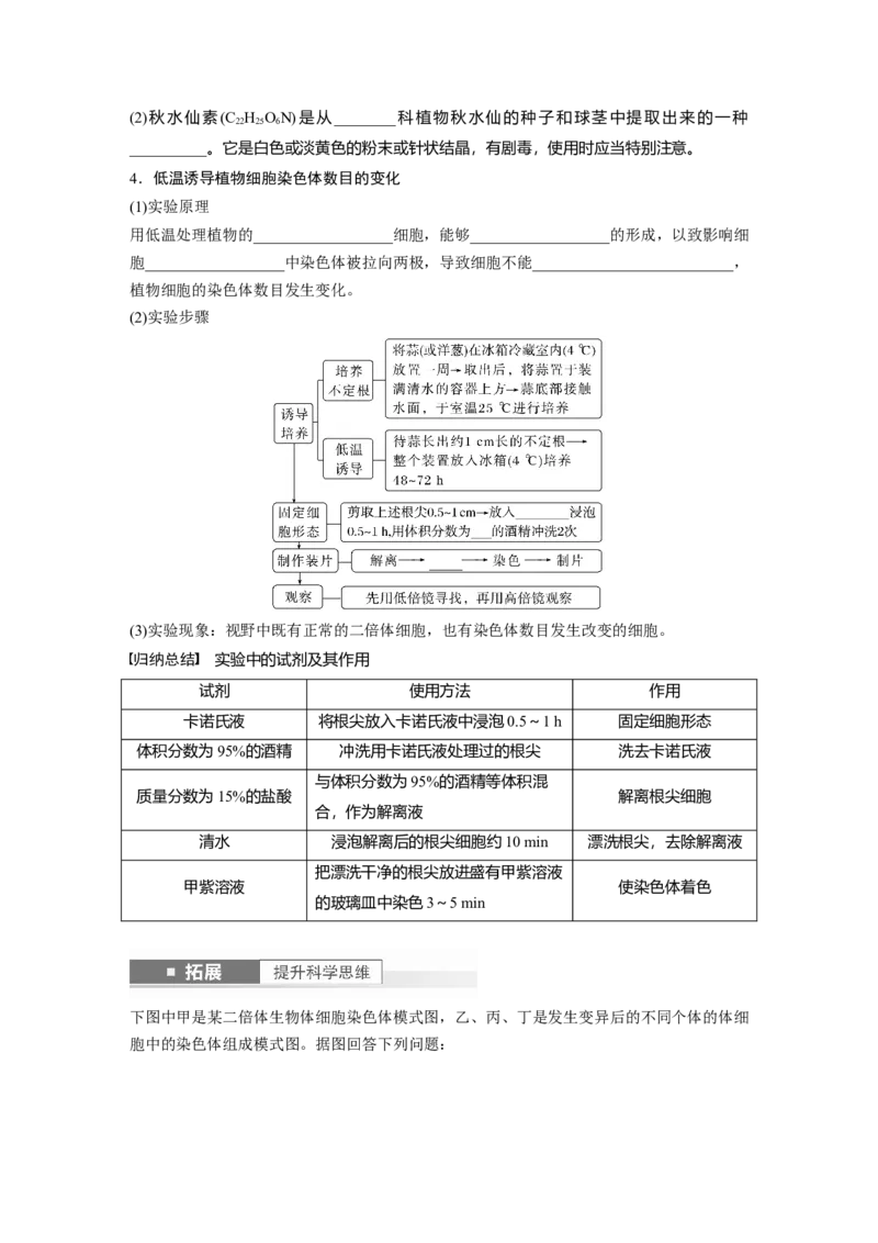 第7单元　第2课时　染色体变异_2024年新高考资料_1.2024一轮复习_2024年高考生物一轮复习讲义（新人教版）_学生版在此文件夹_大一轮复习讲义_第七单元　生物的变异和进化