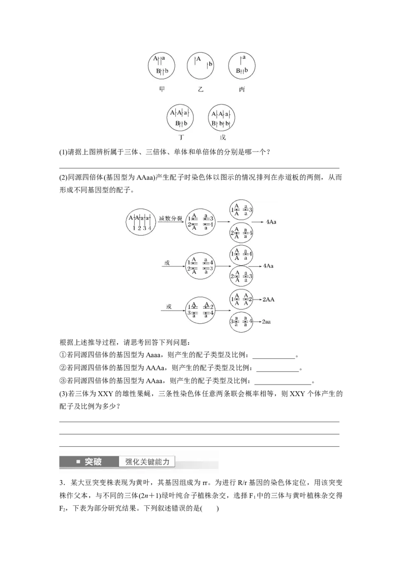 第7单元　第2课时　染色体变异_2024年新高考资料_1.2024一轮复习_2024年高考生物一轮复习讲义（新人教版）_学生版在此文件夹_大一轮复习讲义_第七单元　生物的变异和进化