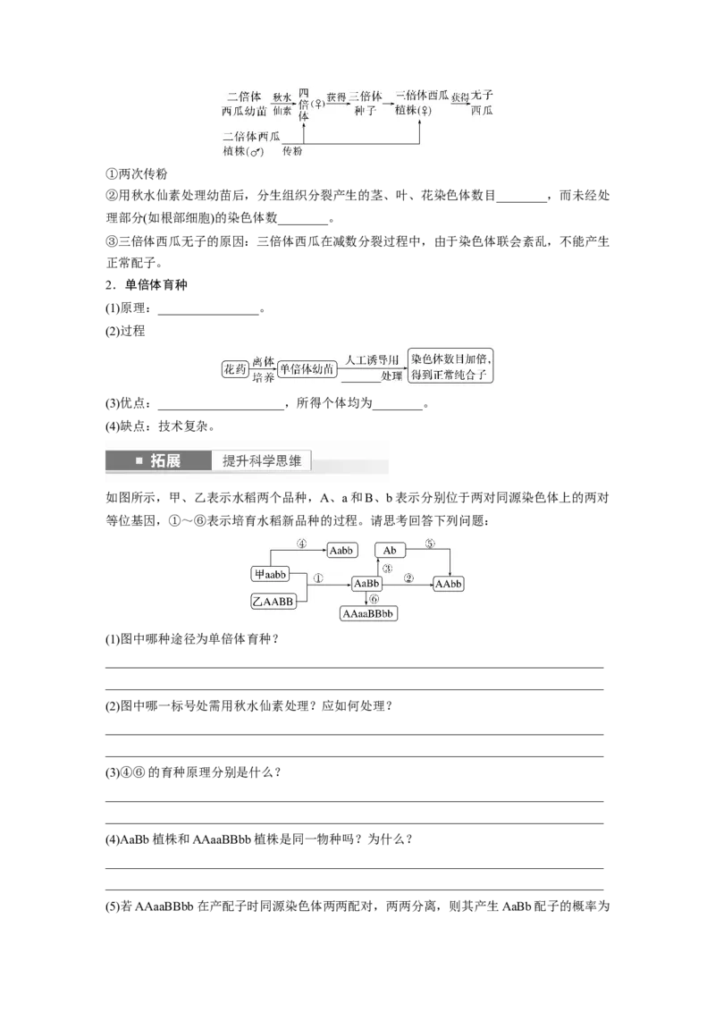 第7单元　第2课时　染色体变异_2024年新高考资料_1.2024一轮复习_2024年高考生物一轮复习讲义（新人教版）_学生版在此文件夹_大一轮复习讲义_第七单元　生物的变异和进化