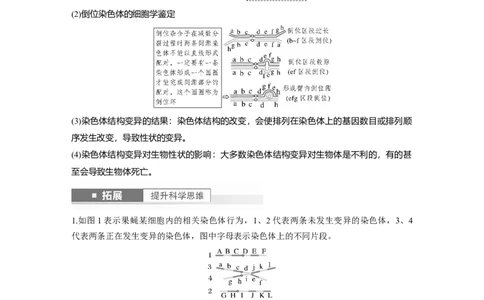 第7单元　第2课时　染色体变异_2024年新高考资料_1.2024一轮复习_2024年高考生物一轮复习讲义（新人教版）_学生版在此文件夹_大一轮复习讲义_第七单元　生物的变异和进化