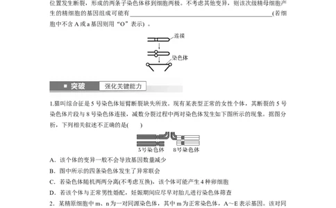 第7单元　第2课时　染色体变异_2024年新高考资料_1.2024一轮复习_2024年高考生物一轮复习讲义（新人教版）_学生版在此文件夹_大一轮复习讲义_第七单元　生物的变异和进化
