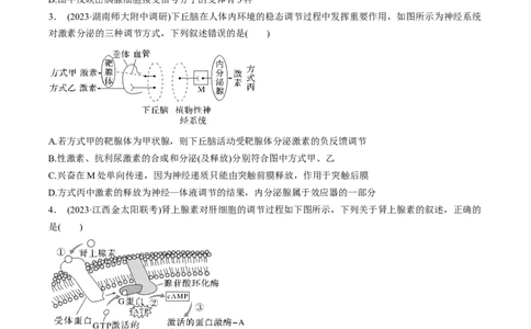 考点通关卷29动物生命活动调节的综合（原卷版）_2024年新高考资料_1.2024一轮复习_2024年高考生物一轮复习考点通关卷（新高考通用）