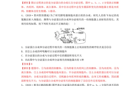 专题05细胞器和生物膜系统（精练）（解析版）_新高考复习资料_2024年新高考复习资料_一轮复习资料_完备战2024年高考生物一轮复习串讲精练（新高考专用）_精练_解析版
