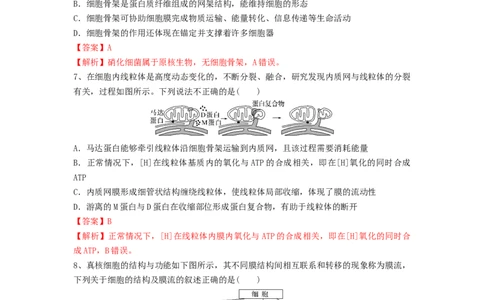 专题05细胞器和生物膜系统（精练）（解析版）_新高考复习资料_2024年新高考复习资料_一轮复习资料_完备战2024年高考生物一轮复习串讲精练（新高考专用）_精练_解析版