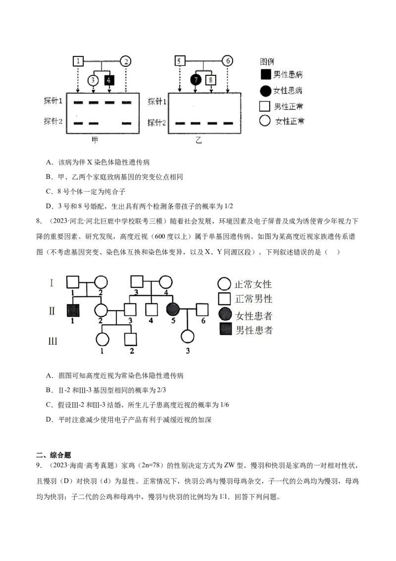 考点通关卷18伴性遗传和人类遗传病（原卷版）_2024年新高考资料_1.2024一轮复习_2024年高考生物一轮复习考点通关卷（新高考通用）