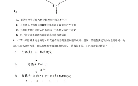 考点通关卷18伴性遗传和人类遗传病（原卷版）_2024年新高考资料_1.2024一轮复习_2024年高考生物一轮复习考点通关卷（新高考通用）