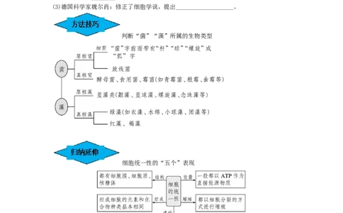 专题01走近细胞（串讲）（原卷版）_新高考复习资料_2024年新高考复习资料_一轮复习资料_完备战2024年高考生物一轮复习串讲精练（新高考专用）_串讲
