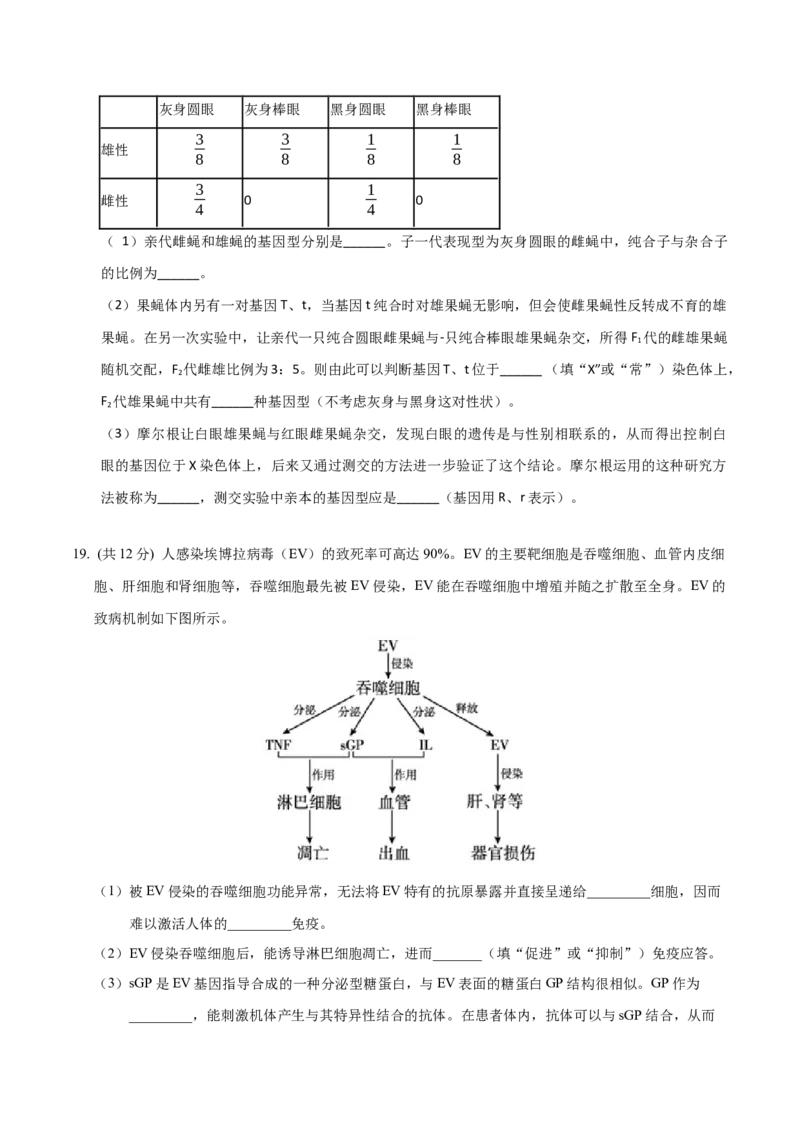 黄金卷01（考试版）-赢在高考&middot;黄金8卷备战2024年高考生物模拟卷（广东专用）_2024年新高考资料_4.2024高考模拟预测试卷