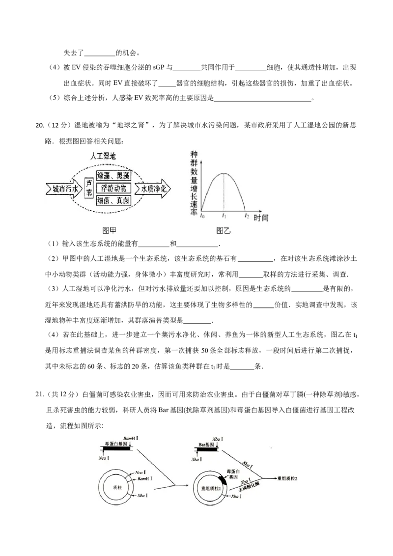 黄金卷01（考试版）-赢在高考&middot;黄金8卷备战2024年高考生物模拟卷（广东专用）_2024年新高考资料_4.2024高考模拟预测试卷