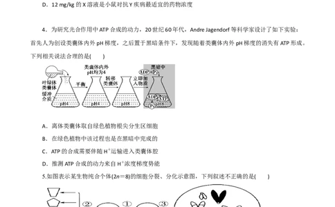 黄金卷01（考试版）-赢在高考&middot;黄金8卷备战2024年高考生物模拟卷（广东专用）_2024年新高考资料_4.2024高考模拟预测试卷