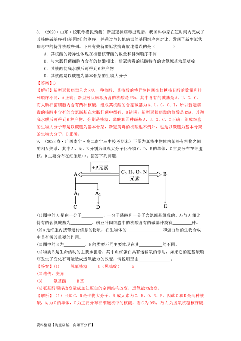 专题04核酸（解析版）_通用版（老高考）复习资料_2024年复习资料_完备战2024年高考生物一轮复习抢分特训（全国通用）_教师版（含答案解析）