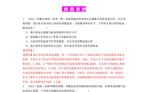 专题04核酸（解析版）_通用版（老高考）复习资料_2024年复习资料_完备战2024年高考生物一轮复习抢分特训（全国通用）_教师版（含答案解析）
