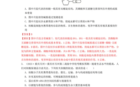 专题04核酸（解析版）_通用版（老高考）复习资料_2024年复习资料_完备战2024年高考生物一轮复习抢分特训（全国通用）_教师版（含答案解析）