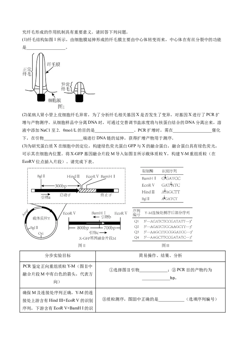 第6讲细胞质和生物膜系统（练习）（原卷版）_2024年新高考资料_1.2024一轮复习_2024年高考生物一轮复习讲练测（新教材新高考）