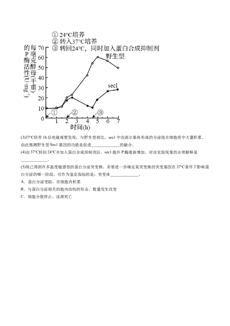 第6讲细胞质和生物膜系统（练习）（原卷版）_2024年新高考资料_1.2024一轮复习_2024年高考生物一轮复习讲练测（新教材新高考）