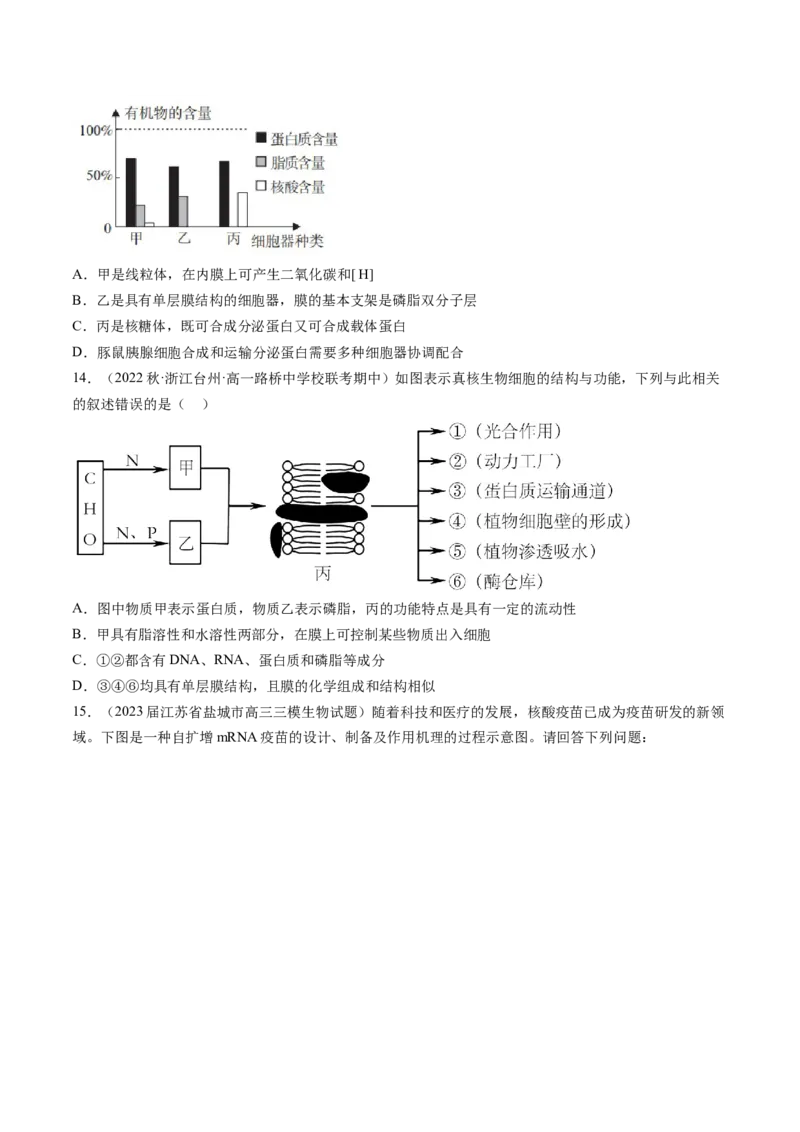 第6讲细胞质和生物膜系统（练习）（原卷版）_2024年新高考资料_1.2024一轮复习_2024年高考生物一轮复习讲练测（新教材新高考）