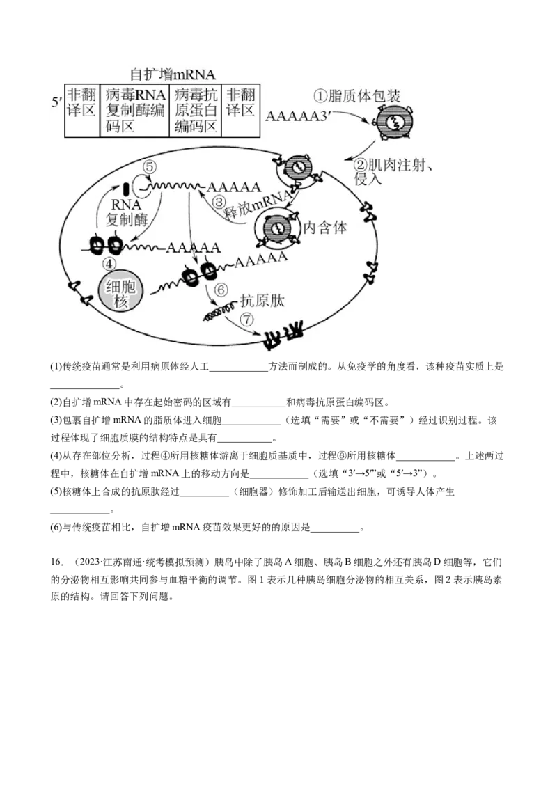 第6讲细胞质和生物膜系统（练习）（原卷版）_2024年新高考资料_1.2024一轮复习_2024年高考生物一轮复习讲练测（新教材新高考）