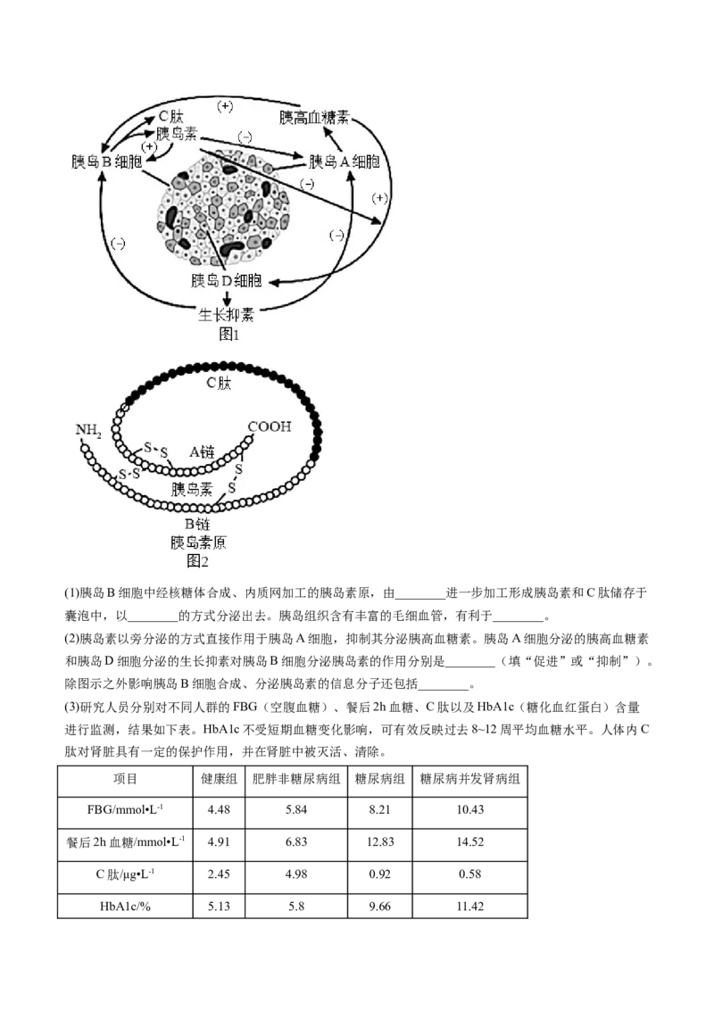 第6讲细胞质和生物膜系统（练习）（原卷版）_2024年新高考资料_1.2024一轮复习_2024年高考生物一轮复习讲练测（新教材新高考）