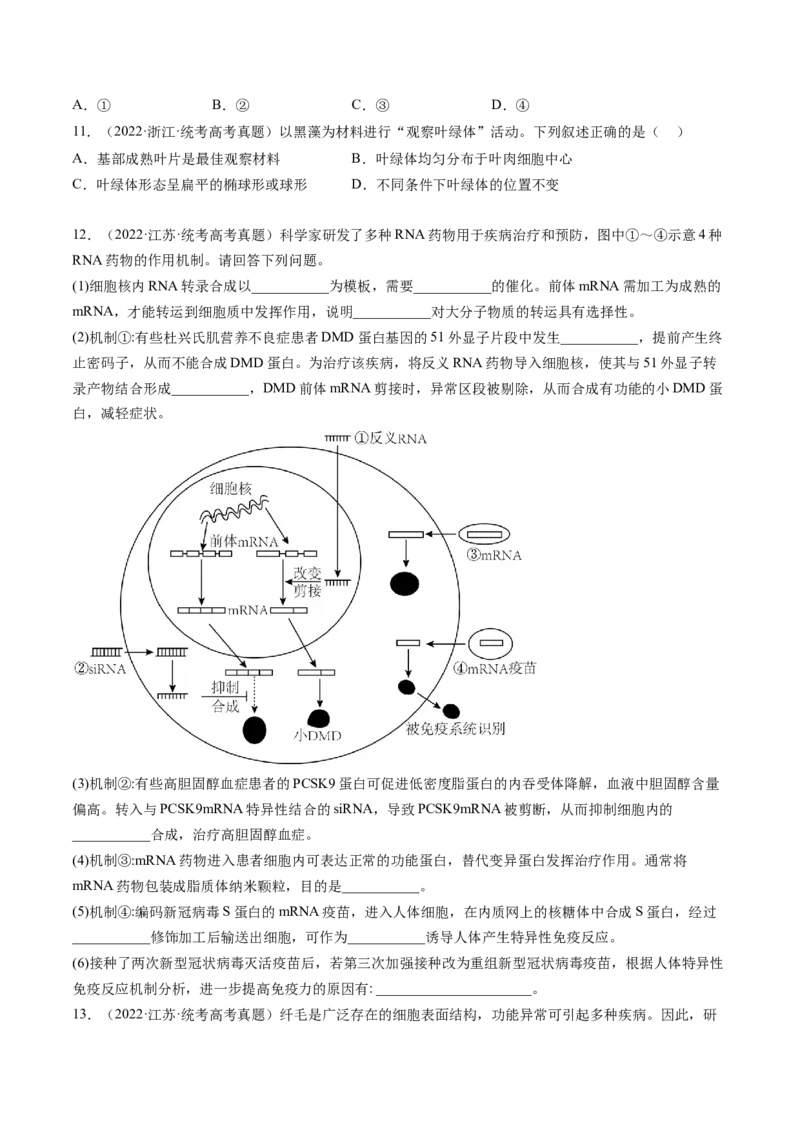 第6讲细胞质和生物膜系统（练习）（原卷版）_2024年新高考资料_1.2024一轮复习_2024年高考生物一轮复习讲练测（新教材新高考）