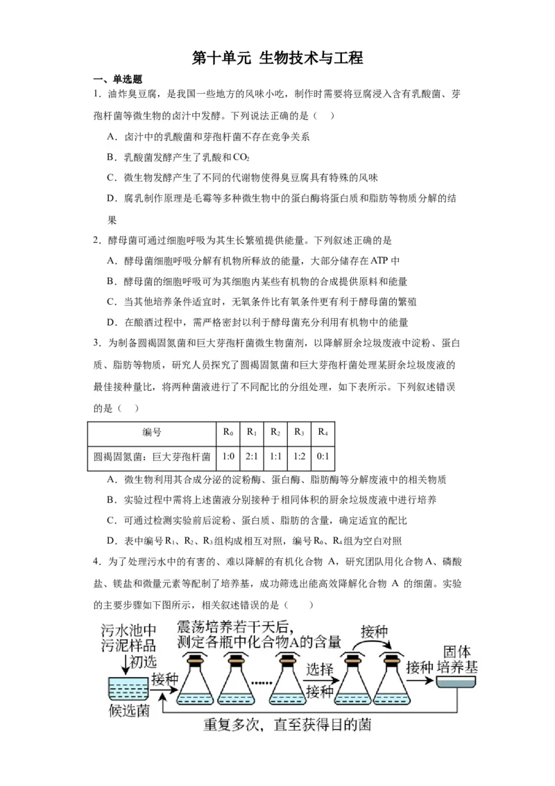 第十单元生物技术与工程（测试卷）（原卷版）_2024年新高考资料_3.2024专项复习_备战2024年高考生物一轮复习重难点专项突破