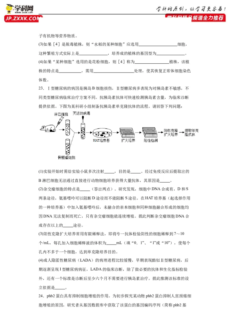 第十单元生物技术与工程（测试卷）（原卷版）_2024年新高考资料_3.2024专项复习_备战2024年高考生物一轮复习重难点专项突破