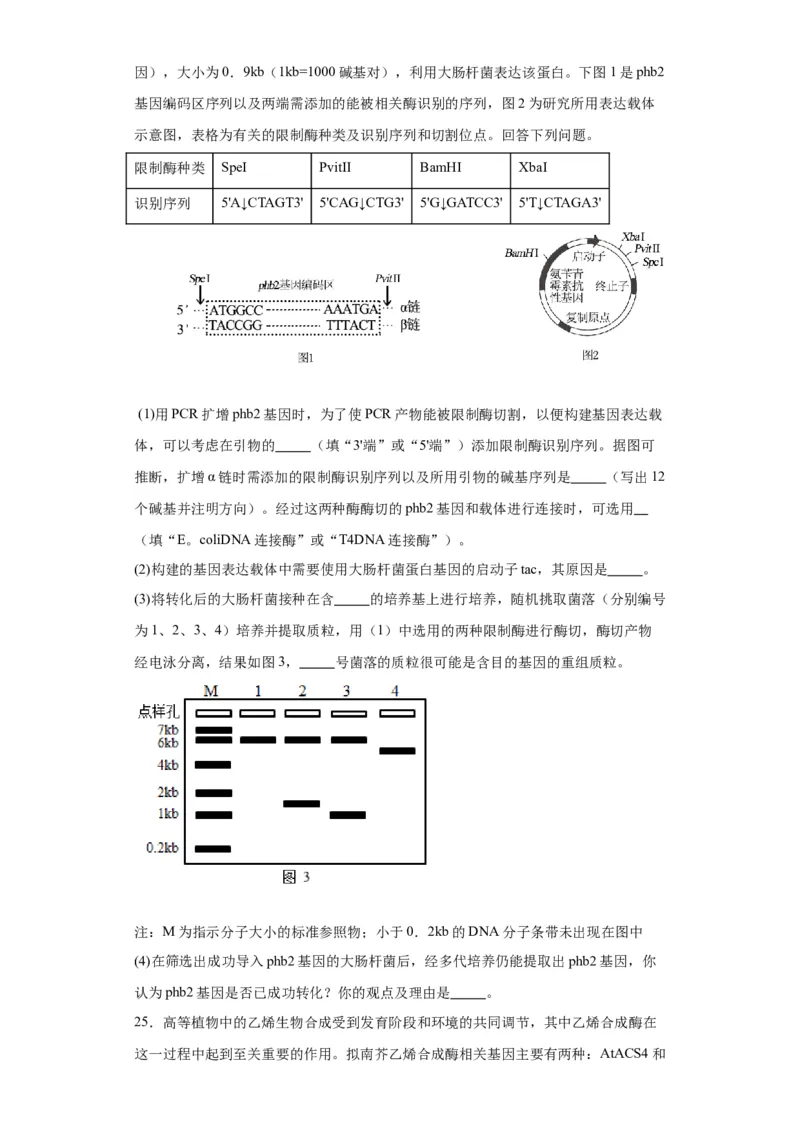 第十单元生物技术与工程（测试卷）（原卷版）_2024年新高考资料_3.2024专项复习_备战2024年高考生物一轮复习重难点专项突破