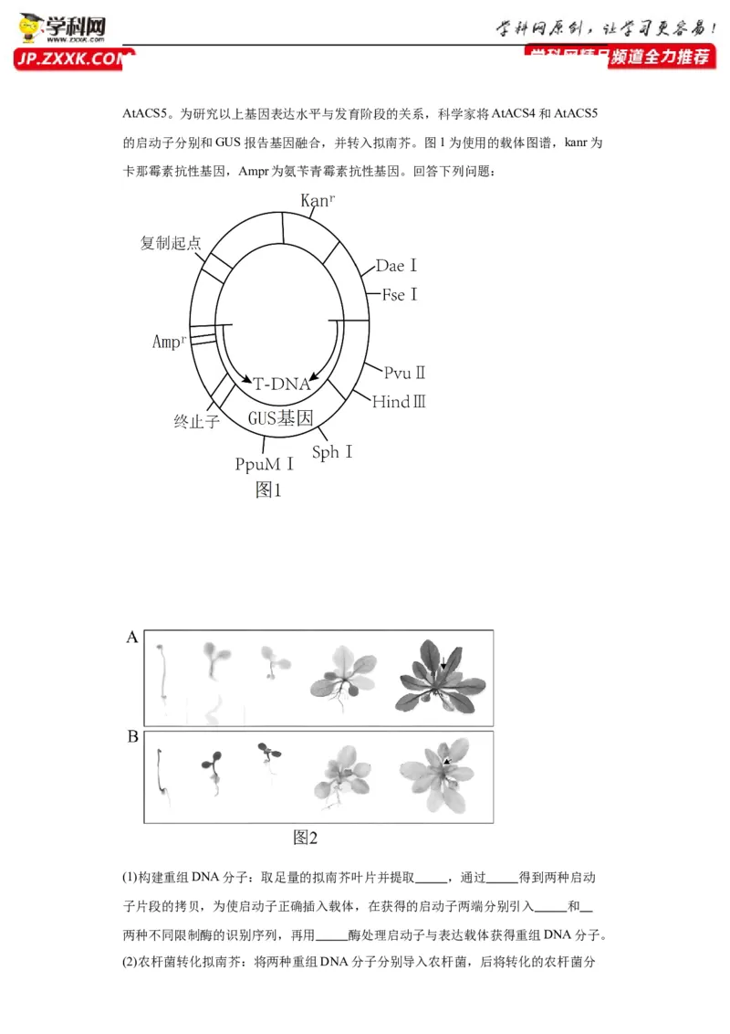 第十单元生物技术与工程（测试卷）（原卷版）_2024年新高考资料_3.2024专项复习_备战2024年高考生物一轮复习重难点专项突破