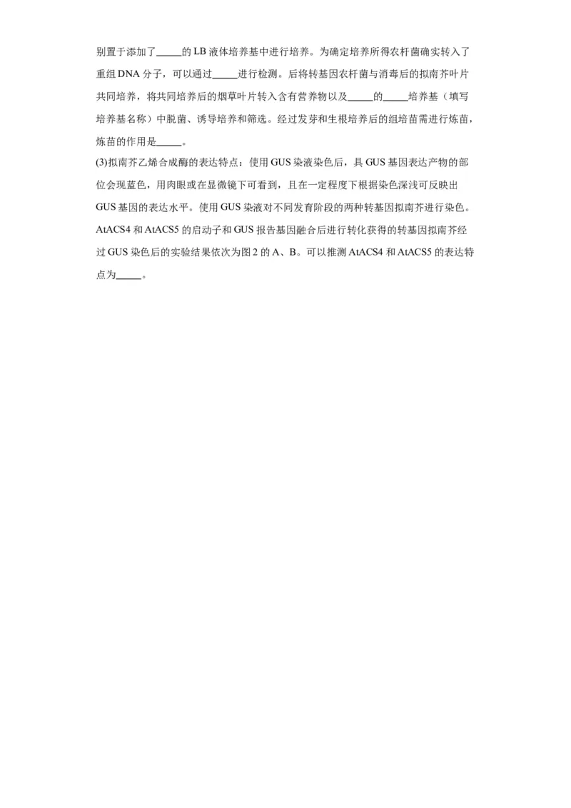 第十单元生物技术与工程（测试卷）（原卷版）_2024年新高考资料_3.2024专项复习_备战2024年高考生物一轮复习重难点专项突破