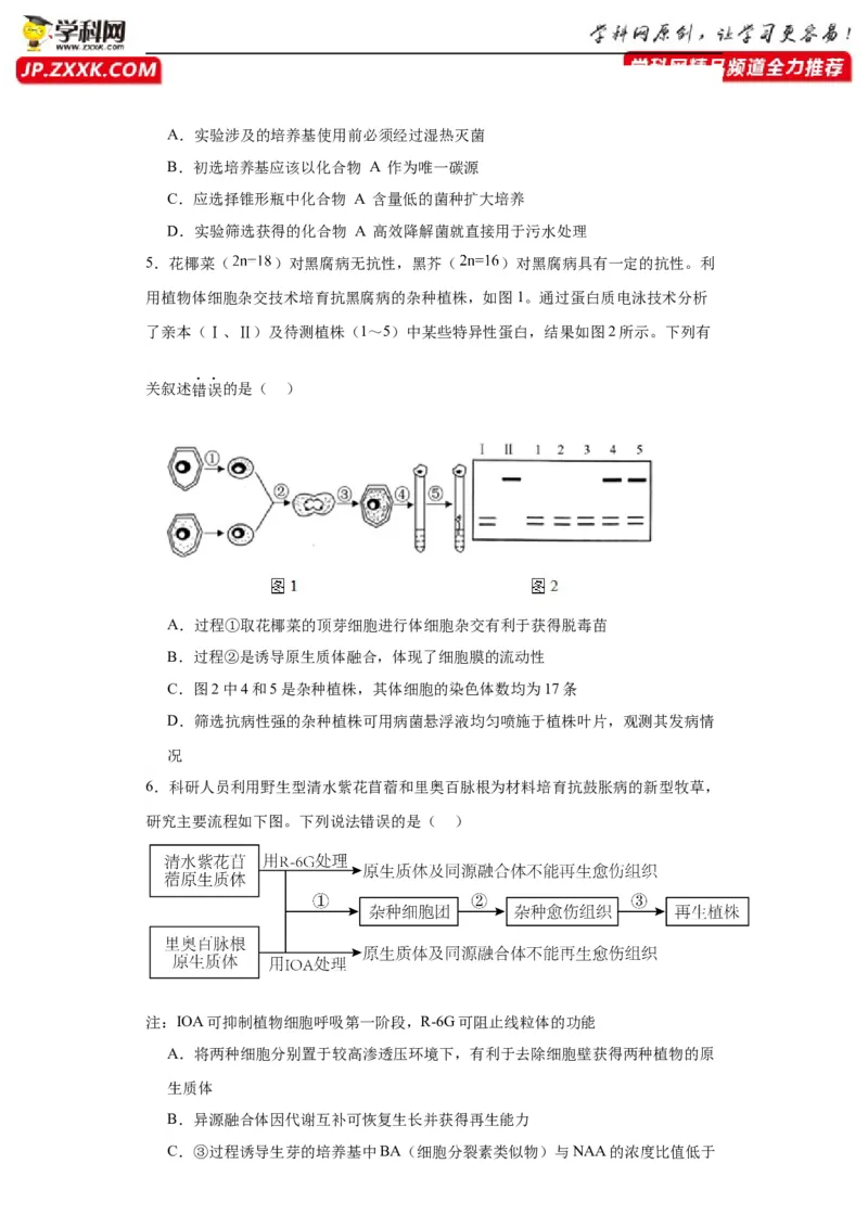 第十单元生物技术与工程（测试卷）（原卷版）_2024年新高考资料_3.2024专项复习_备战2024年高考生物一轮复习重难点专项突破