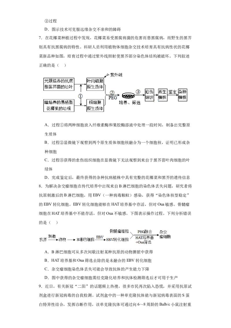 第十单元生物技术与工程（测试卷）（原卷版）_2024年新高考资料_3.2024专项复习_备战2024年高考生物一轮复习重难点专项突破