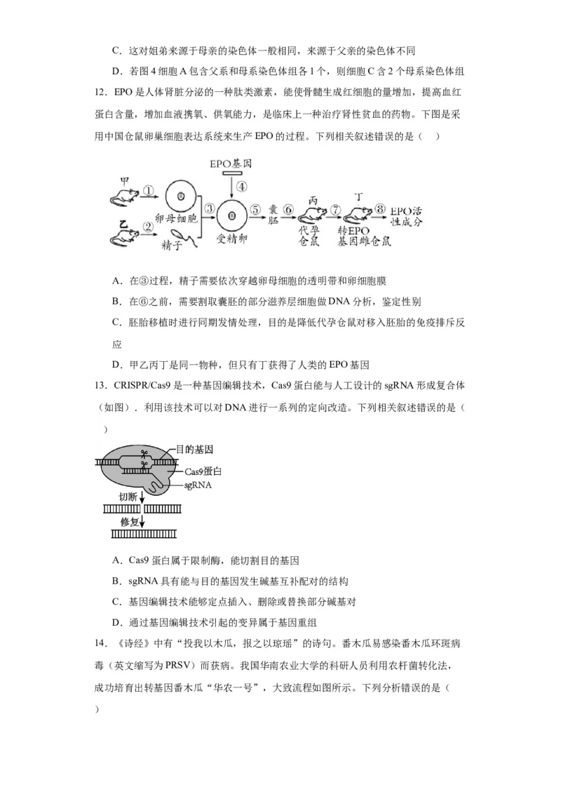 第十单元生物技术与工程（测试卷）（原卷版）_2024年新高考资料_3.2024专项复习_备战2024年高考生物一轮复习重难点专项突破