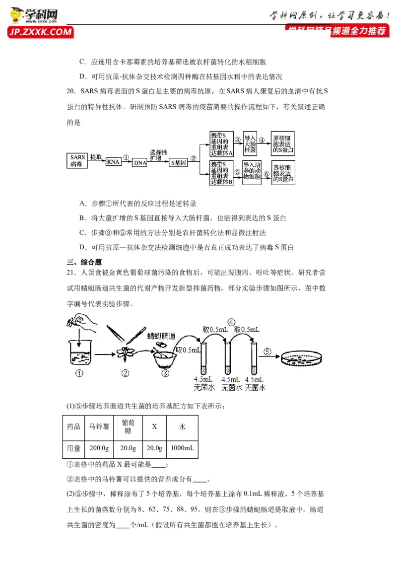 第十单元生物技术与工程（测试卷）（原卷版）_2024年新高考资料_3.2024专项复习_备战2024年高考生物一轮复习重难点专项突破