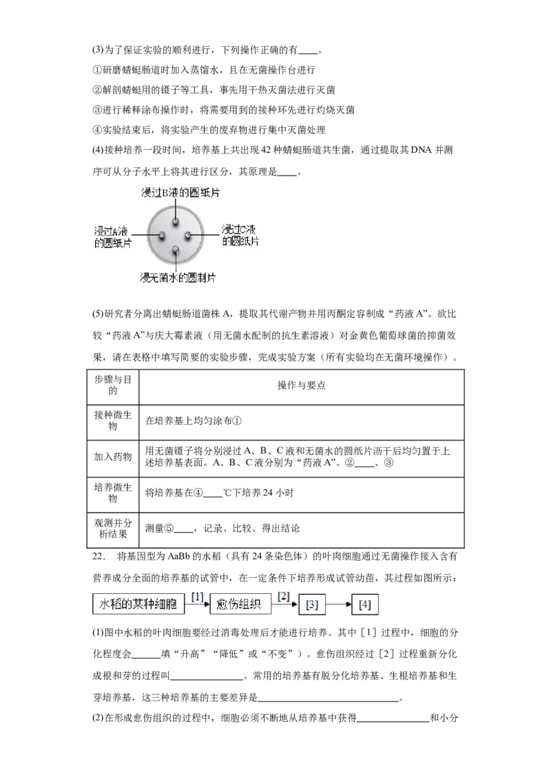 第十单元生物技术与工程（测试卷）（原卷版）_2024年新高考资料_3.2024专项复习_备战2024年高考生物一轮复习重难点专项突破